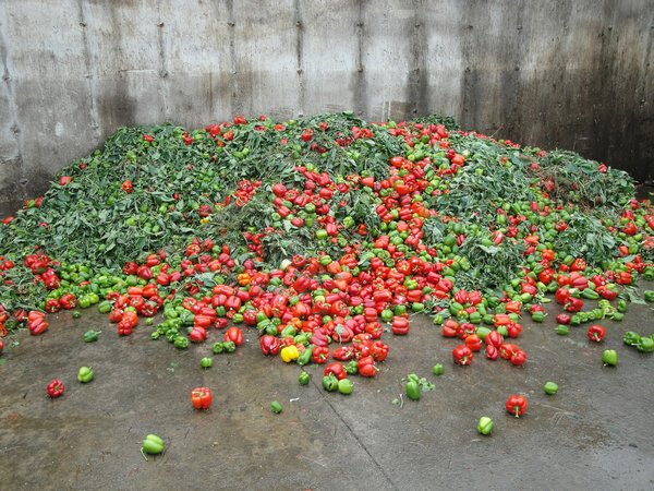 Was sind die Vorteile einer Immobilie mit Zertifizierung für nachhaltiges Bauen?