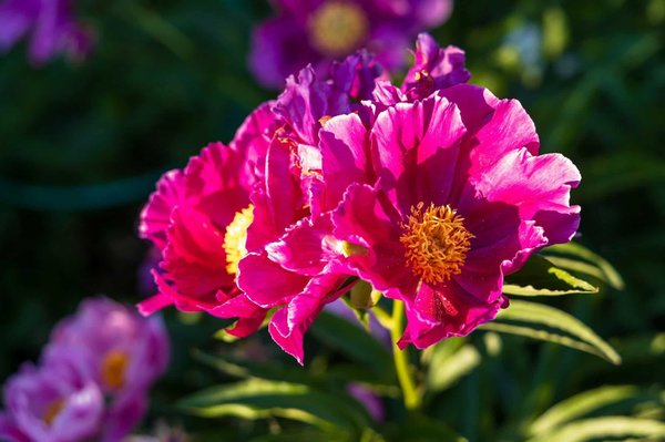 Wie stylt man ökologische Stofftaschen zu einem urbanen Outfit?